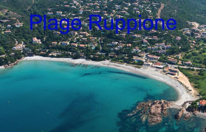 Vue Mer Panoramique Plage 50M Porticcio Corse Exterior foto